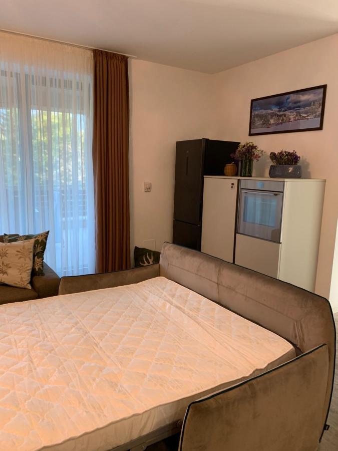 Edelweiss Apartments Silver Resort Poiana Brasov Esterno foto